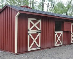 10'x28' Shed Row Horse Barn